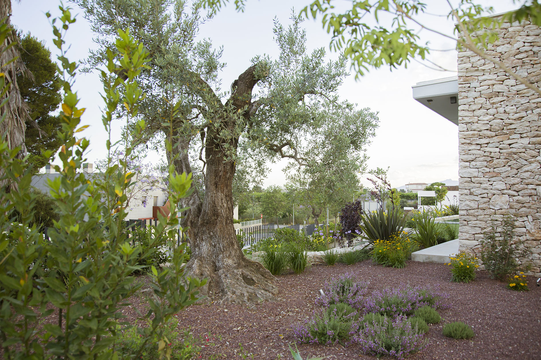 Jardí PMP