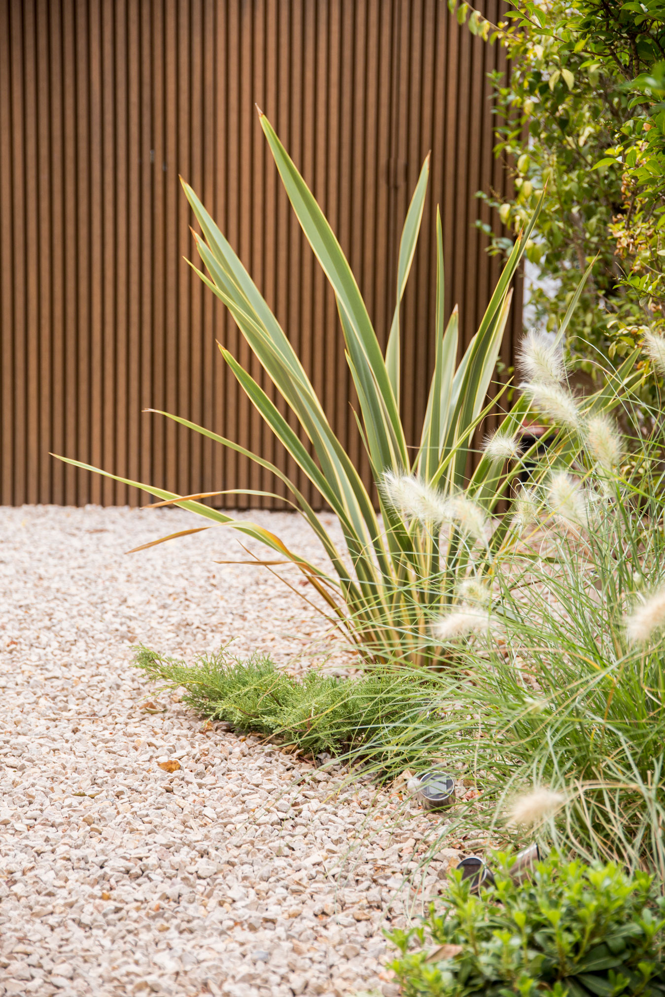 Imatge del projecte %s