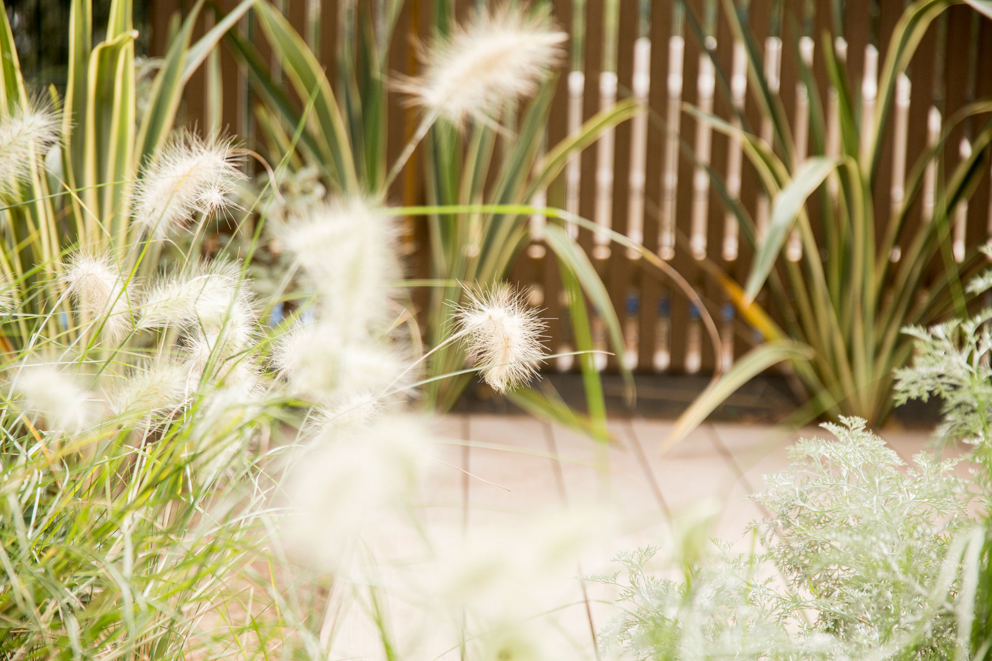 Imatge del projecte %s